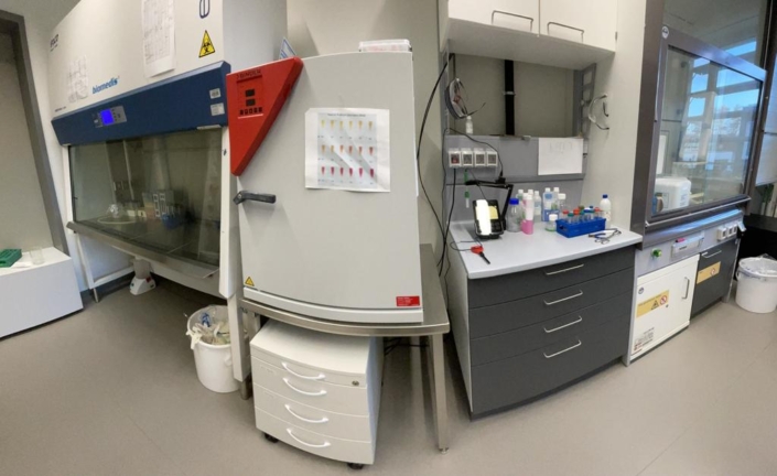 Bio Lab-2